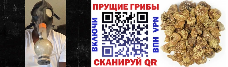 что такое наркотик  Лебедянь  Псилоцибиновые грибы мицелий 